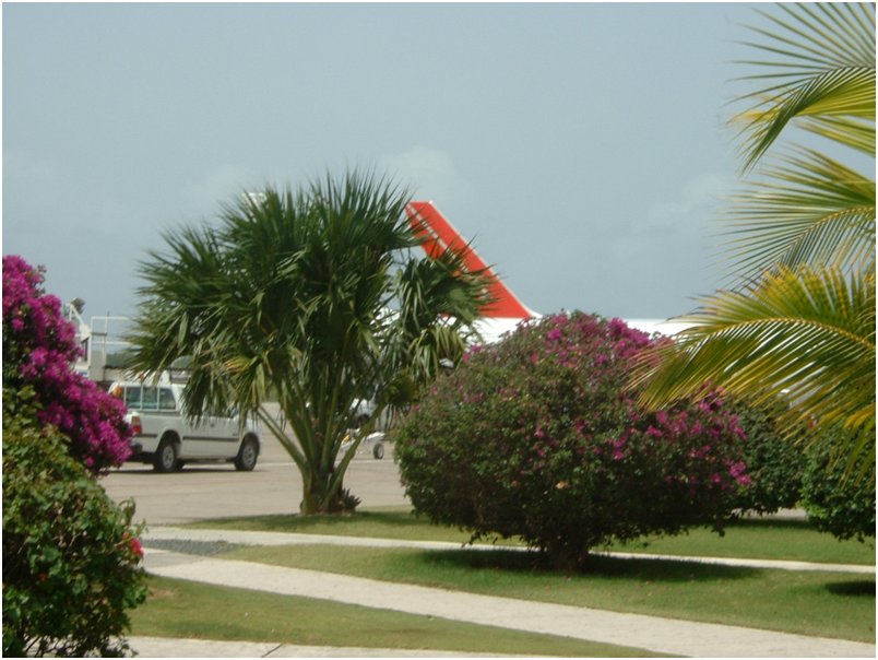 Flight2 (7)